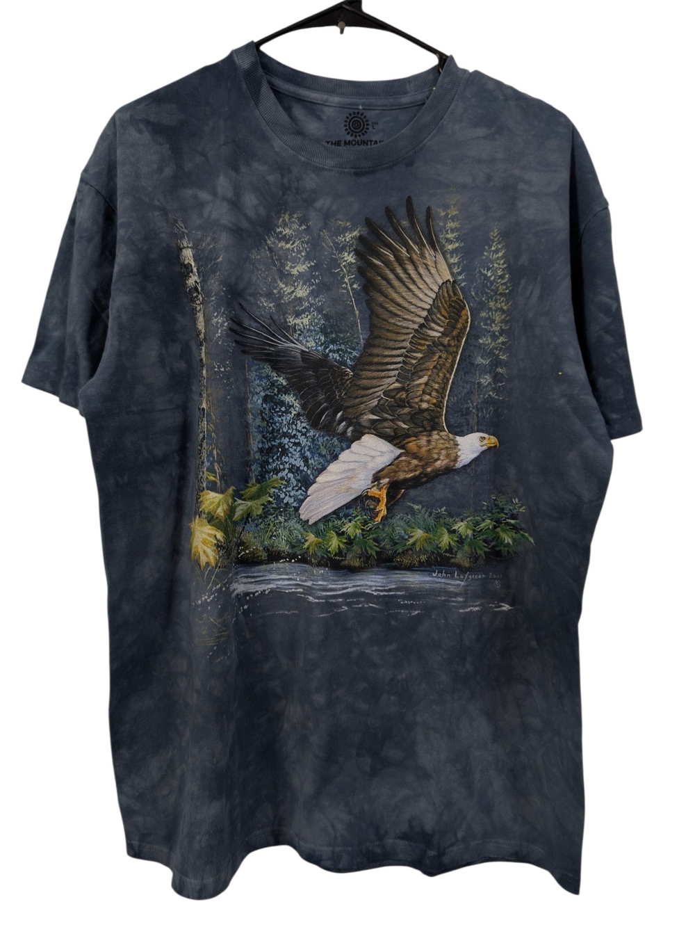 The Mountain Size Large Men’s Charcoal Eagle Graphic Shirt